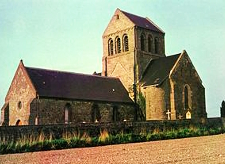 VIVAISE
